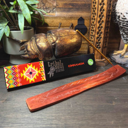 "Cinnamon" Incense Sticks...