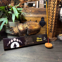 "Moon Ritual" Incense...